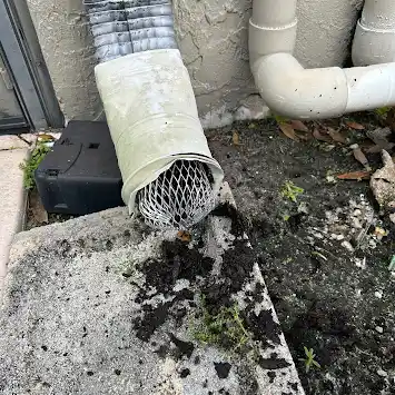 Iguana Landscaping