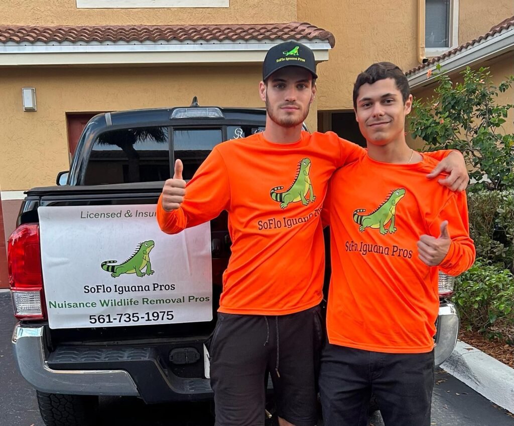 Soflo Iguana Pros 16 SoFlo Iguana Pros — Iguana Removal in Palm Beach County | SoFlo Iguana Pros