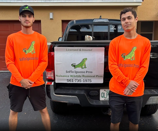 SoFlo Iguana Pros — Iguana Removal in Palm Beach County | SoFlo Iguana Pros