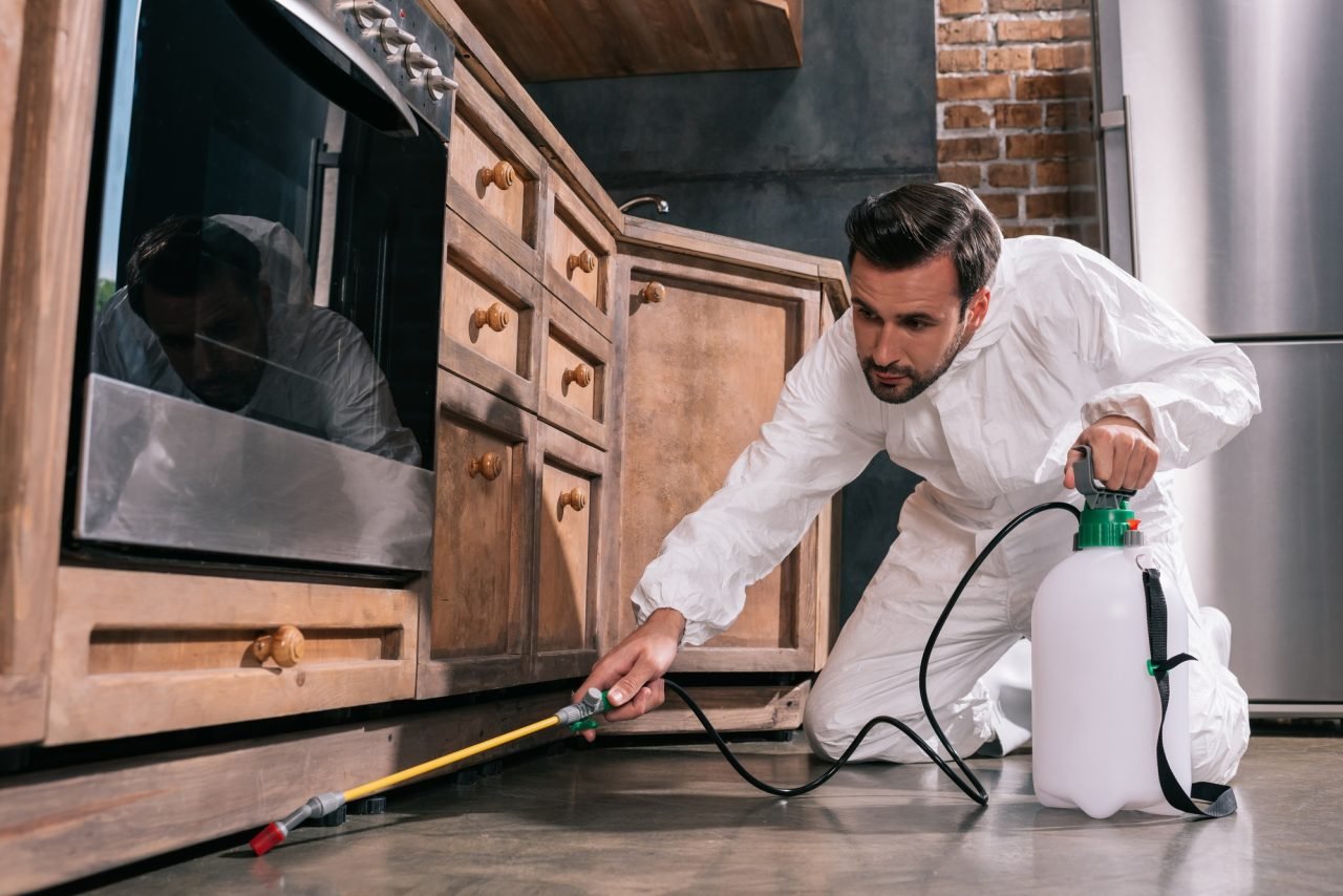 side view of pest control worker spraying pesticides under cabinet in kitchen What Happens During a Free On-Site Wildlife Assessment