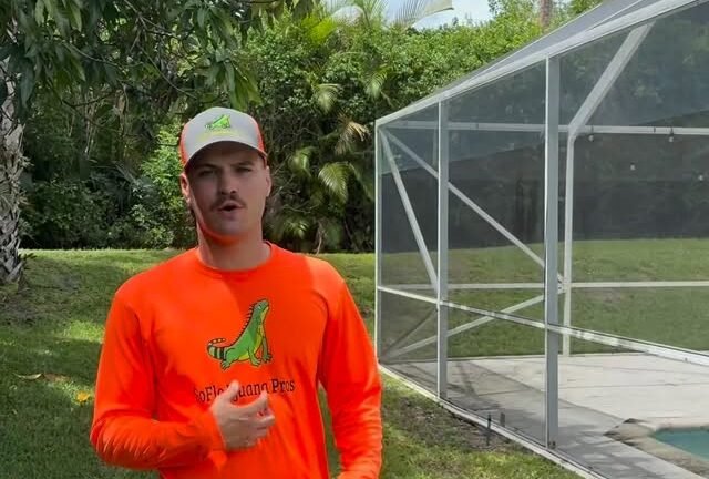 Iguana Screen Guard Installation in South Florida
