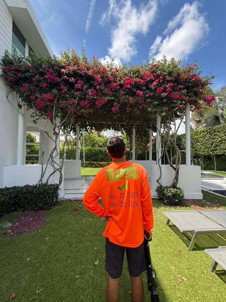 residential bougainvillea iguana control inspection